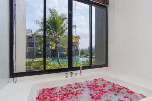 Deluxe Suite with Pool Access with Jacuzzi