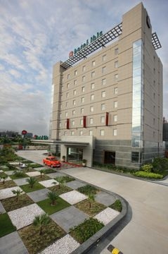 Ibis1