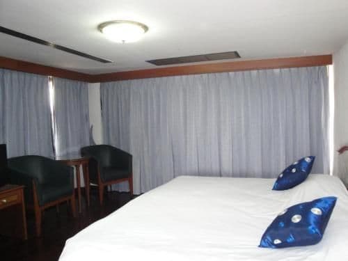 Deluxe Double or Twin Room