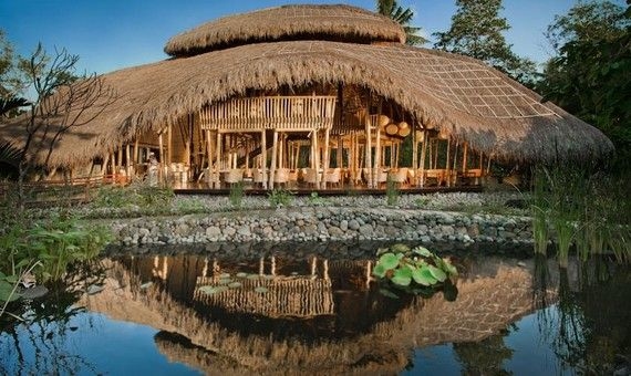 Fivelements Bali Retreat0