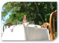 Mountain Woods Resort Hotel0
