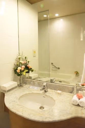 Deluxe Double or Twin Room with Balcony Pool View
