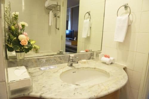 Superior Double or Twin Room with City View
