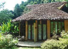 The Natural Healing Spa Retreat The Natural Healing Spa Retreat