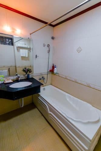 Deluxe Double or Twin Room with City View