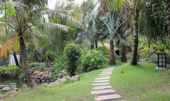 The Pegasus Resort
