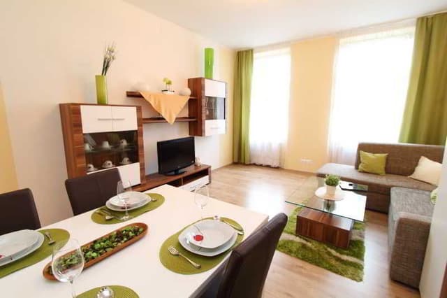 APARTMENT CAPACITY 4