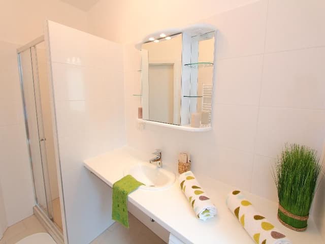 APARTMENT CAPACITY 4