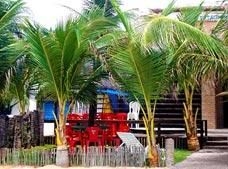 Genipabu Praia Pousada0