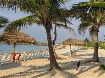 The Marlin at Taino Beach Resort & Clubs4