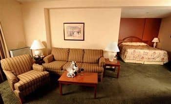 SW Hotel Toronto Airport SW Hotel Toronto Airport