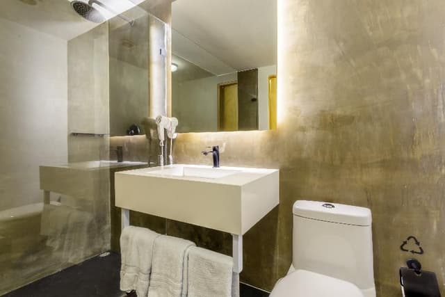 SUITE DELUXE