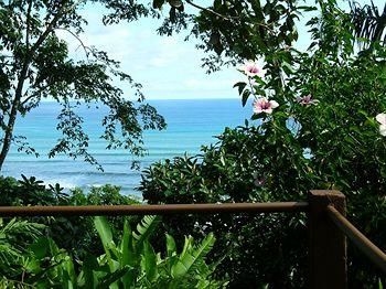 Tiskita Jungle Lodge2