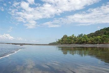 Tiskita Jungle Lodge4