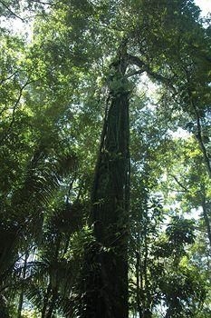 Tiskita Jungle Lodge1