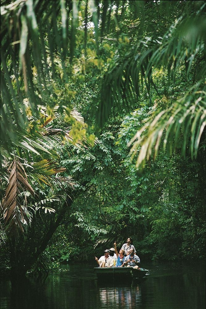 Tortuga Lodge and Gardens0
