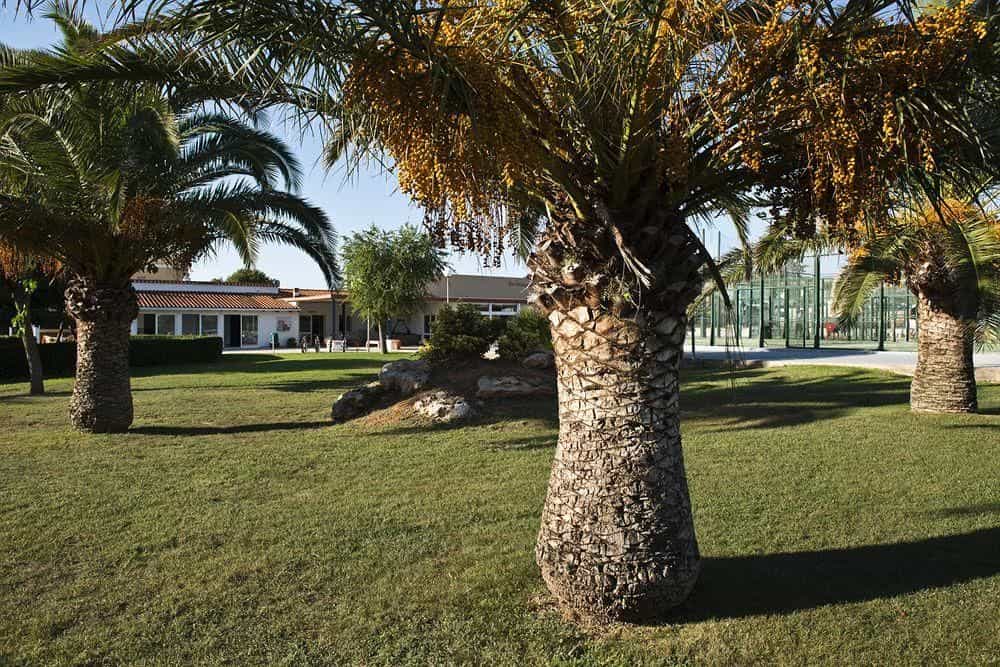 Apartments Sa Caleta