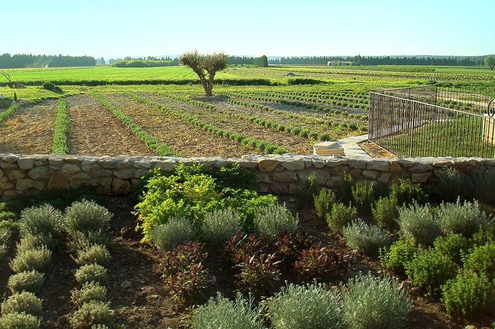 Entre Vigne et Garrigue0