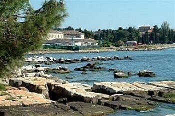 Apartments Zdjelar4