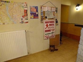 Elvis Guesthouse Budapest1