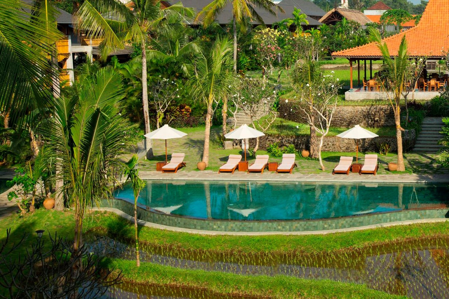 อลายา รีสอร์ท อูบุด (Alaya Resort Ubud)3