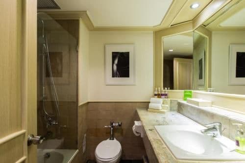 Premier Deluxe Double or Twin Room with Sea View