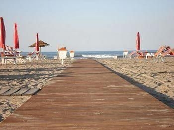 Hotel Camelia1
