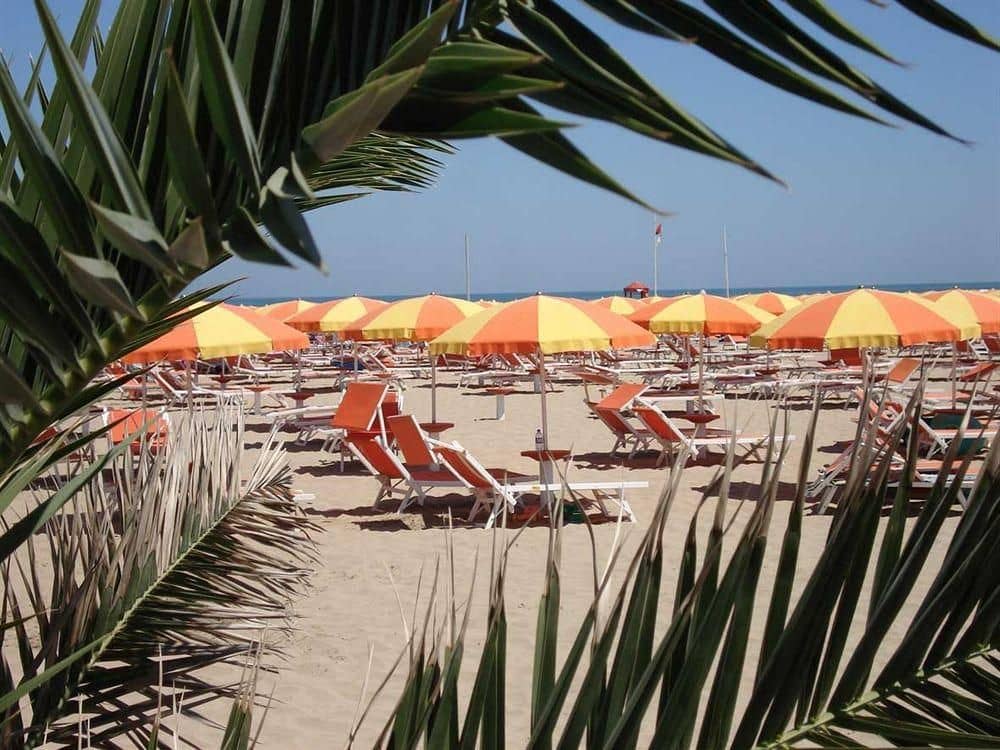 Hotel Camelia Hotel Camelia