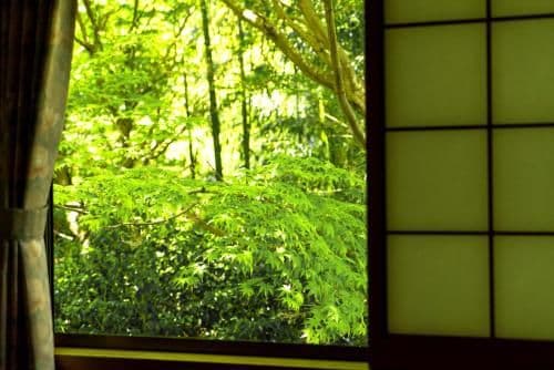 Japanese-Style Room with Shared Bathroom