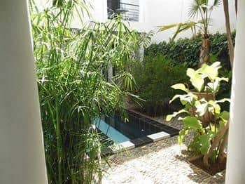 Riad Tchina Riad Tchina