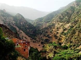 DAR TASSA DAR TASSA