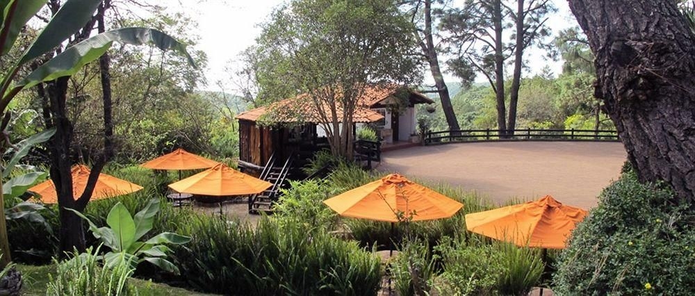 Monteverde2