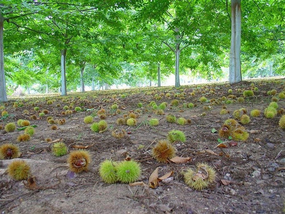 Quinta do Casal2