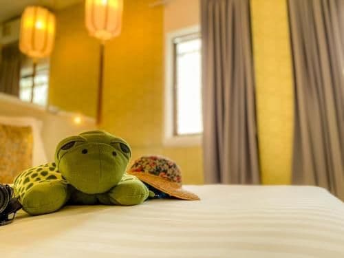 Superior Double or Twin Room