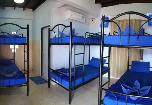 เอเชีย บลู เดอะ ทาเวิร์น ฮาเซียนดา (Asia Blue - Beach Hostel Hacienda)3