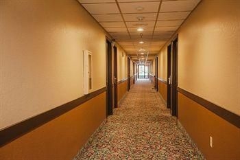 Cedars Inn Auburn4