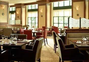 Marriott Atlanta Alpharetta