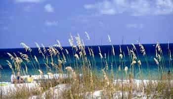 Sterling Resorts- Emerald Isle
