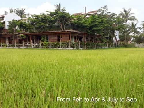 Hoi An Chic Green Retreat Hoi An Chic Green Retreat
