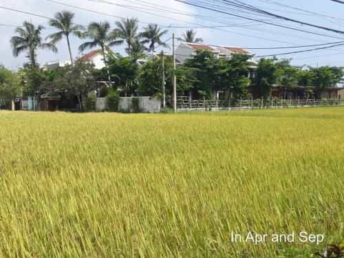 Hoi An Chic Green Retreat Hoi An Chic Green Retreat