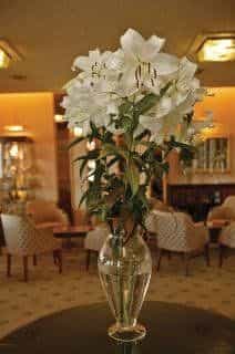 Best Western Livermead Cliff Hotel Best Western Livermead Cliff Hotel