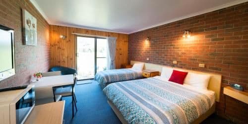 Twin Room with Mountain View