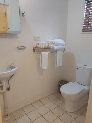 Deluxe Three-Bedroom Apartment