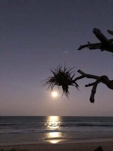 Horizons at Peregian0