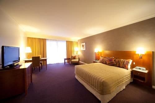 Executive Queen Room