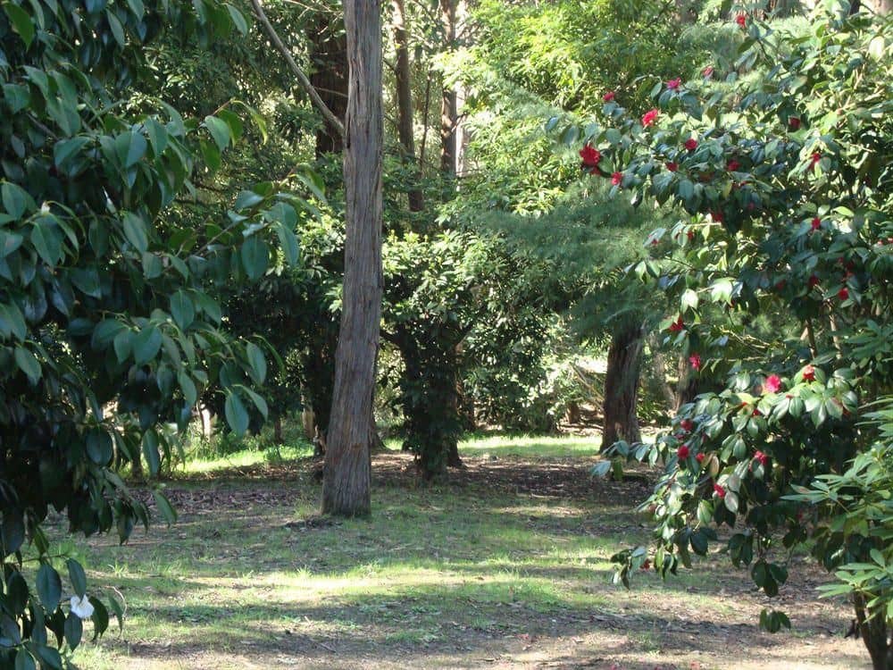Sunway Farm Bed and Breakfast Sunway Farm Bed and Breakfast