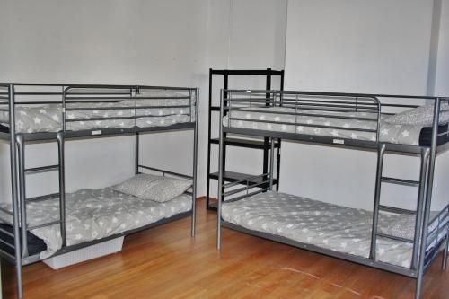 The Hive Hostel2