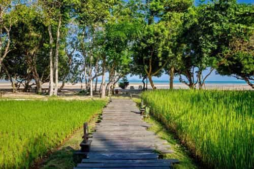 Koh Yao Yai Village Koh Yao Yai Village