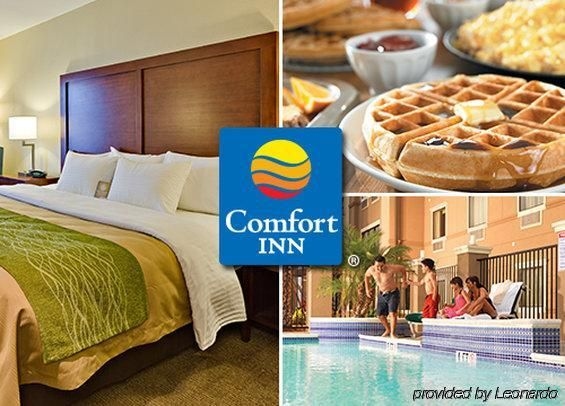 Comfort Inn Airport International0