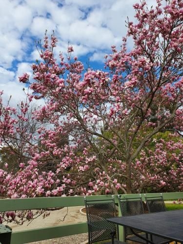 Annies Holiday Units2